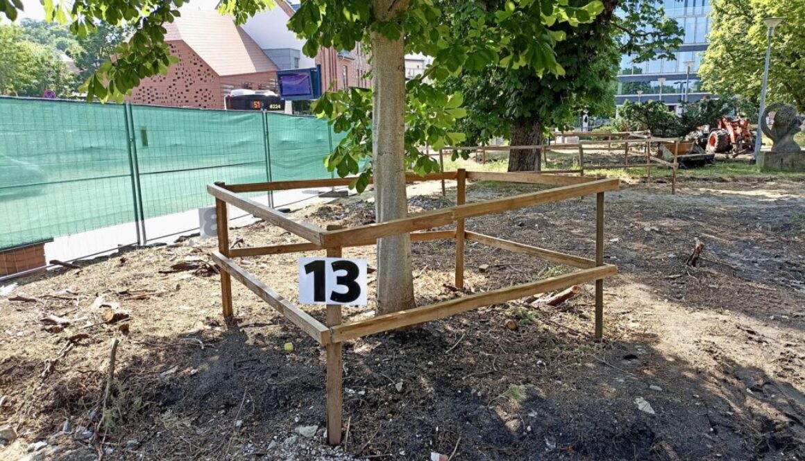 plac_3